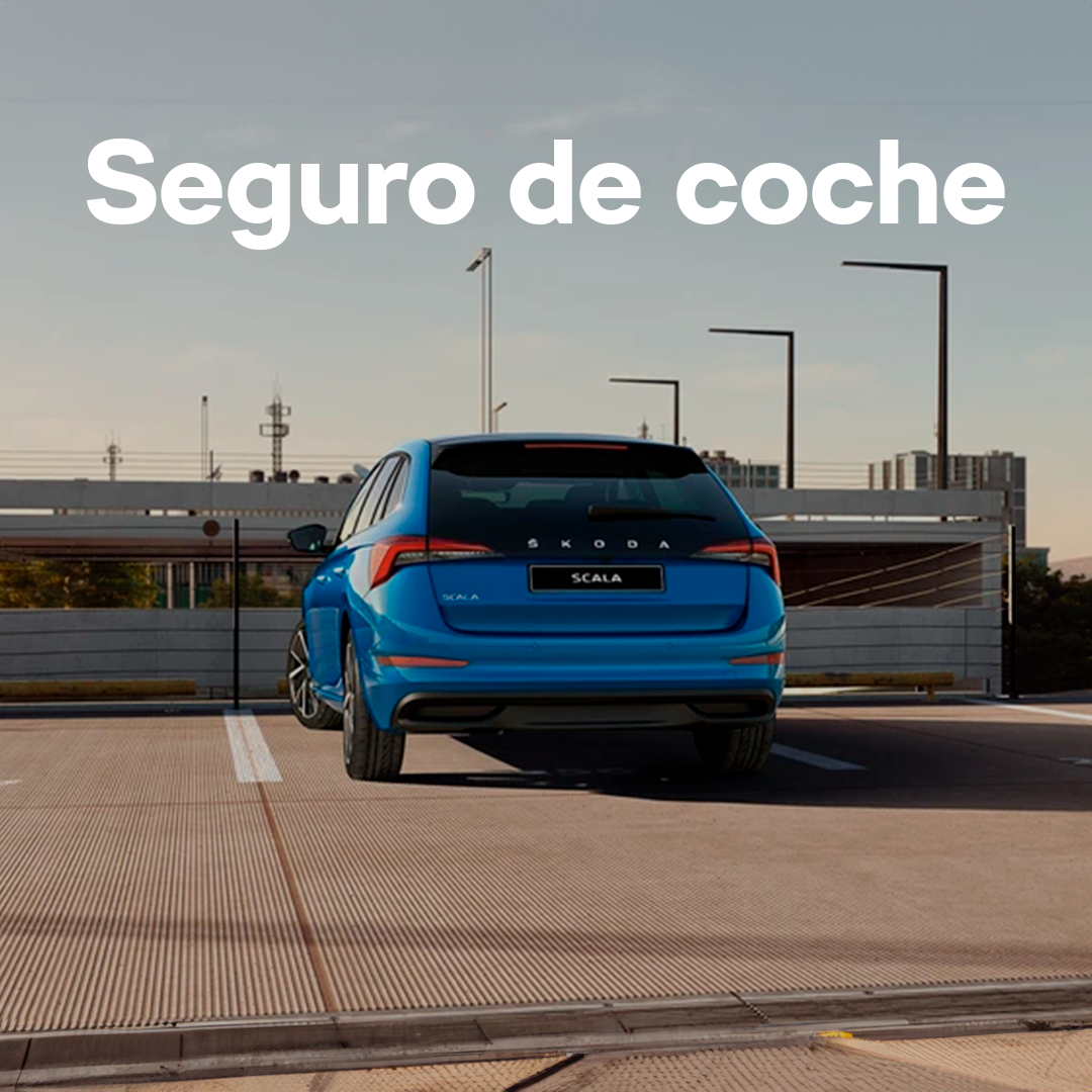 seguro de coche seguro de coche